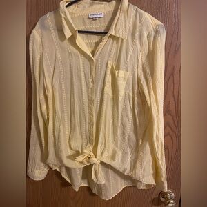 Westport Light Yellow Sheer Button Down Shirt with Tie Front